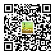 z云邮二维码